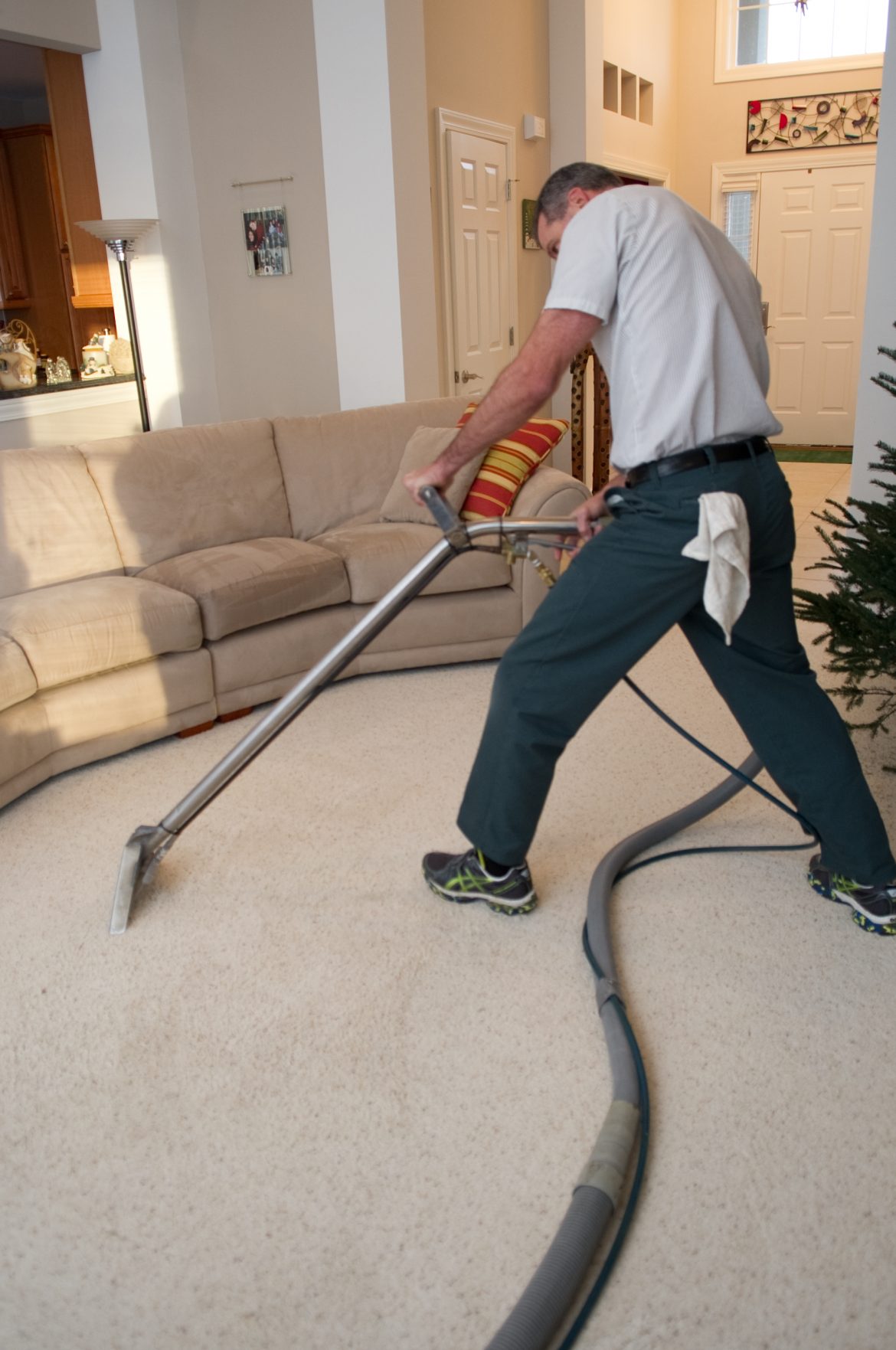 Carpet Stain Removal Professional Carpet Cleaning Toledo